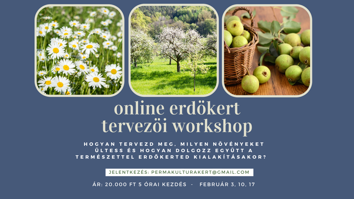 Online erdőkert tervezői&nbsp;workshop