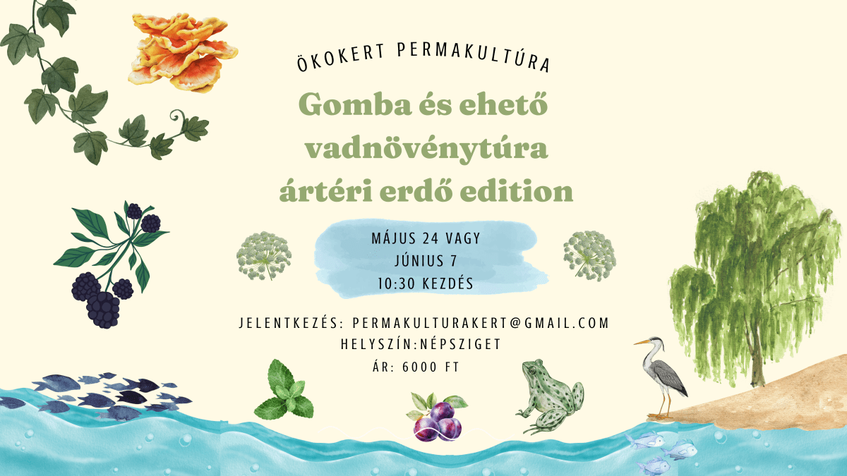 Gomba és Ehető Vadnövény&nbsp;Túra