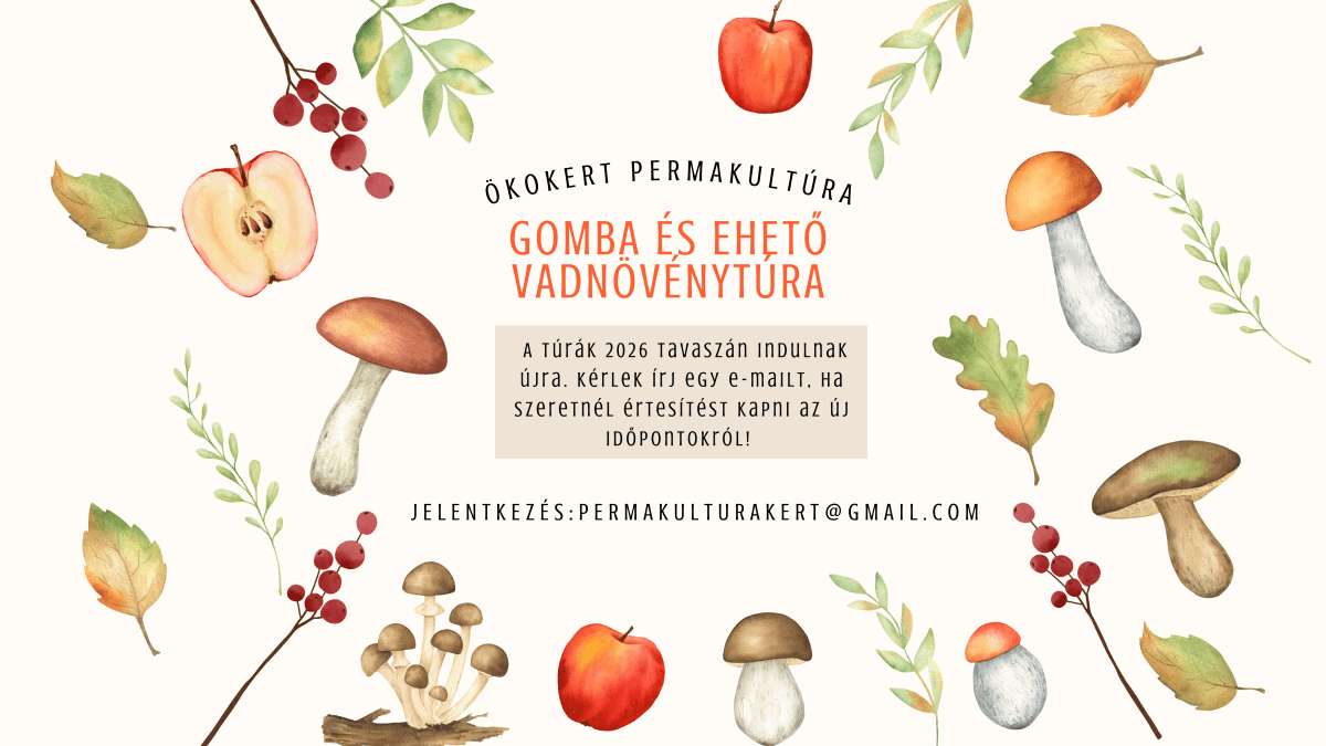 Gomba és Ehető Vadnövény&nbsp;Túra