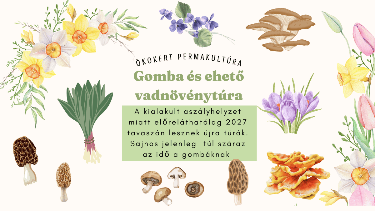 Gomba és Ehető Vadnövény&nbsp;Túra