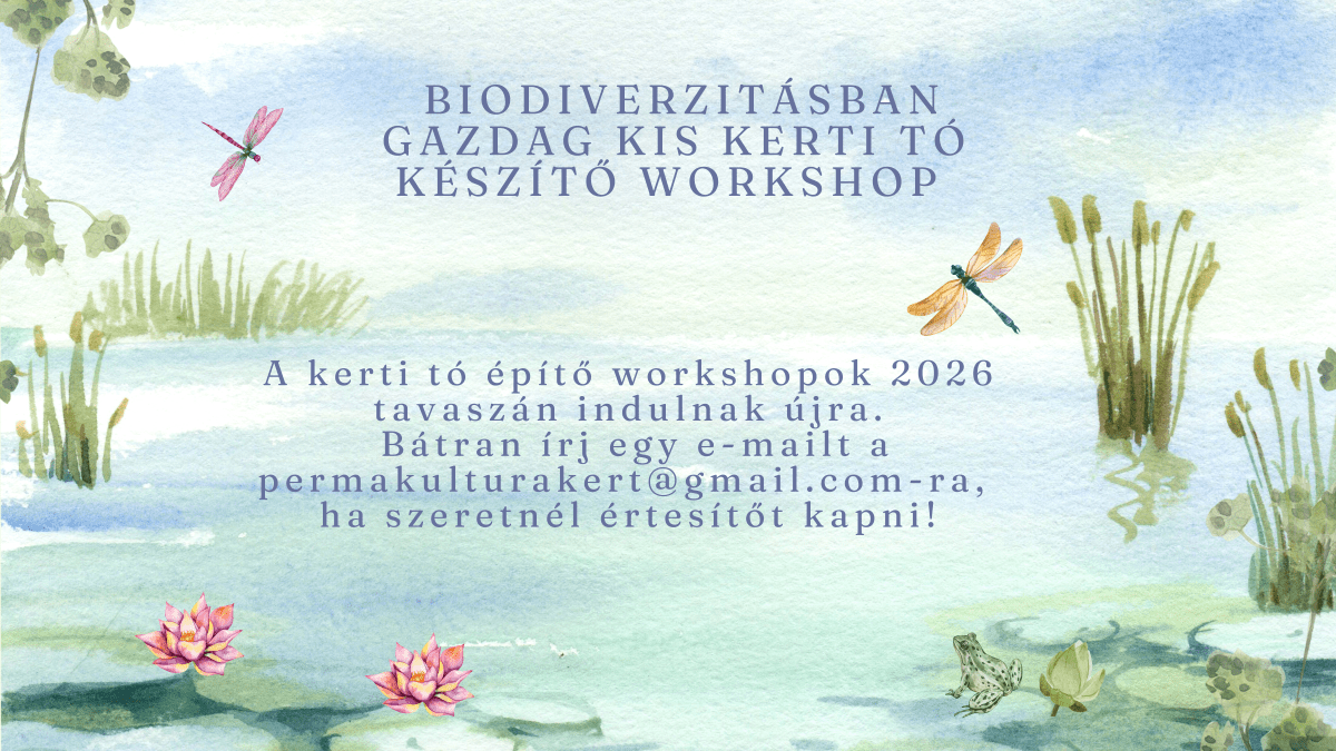 Biodiverzitásban gazdag kis kerti tó készítő&nbsp;workshop