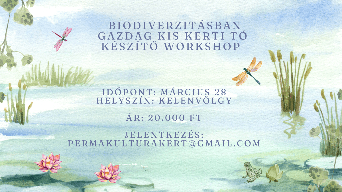 Biodiverzitásban gazdag kis kerti tó készítő&nbsp;workshop